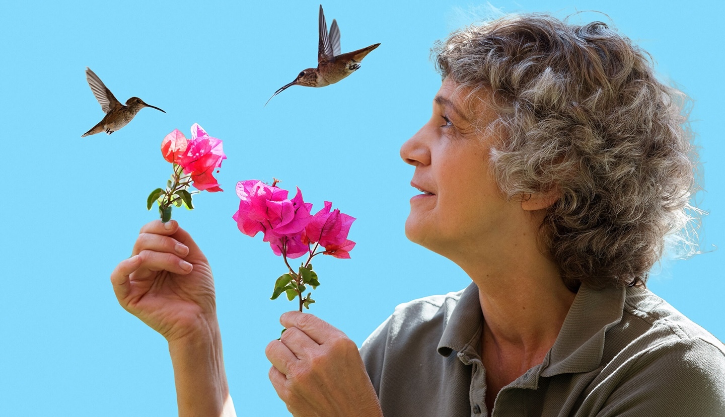 A TALE OF LOVE, FRAGILITY & KINDNESS