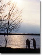 silhouettes1.jpg#asset:2088