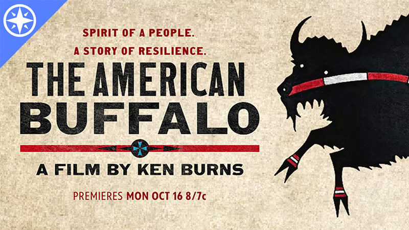 American Buffalo Passport